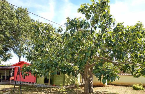 Apolo Apartments - Pool & Garden Retreat - Foto 12