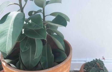 Ataraxia Home - Foto 29