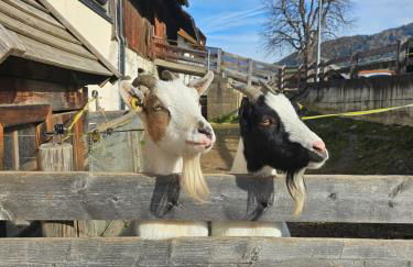 Krebslechnerhof - Foto 62