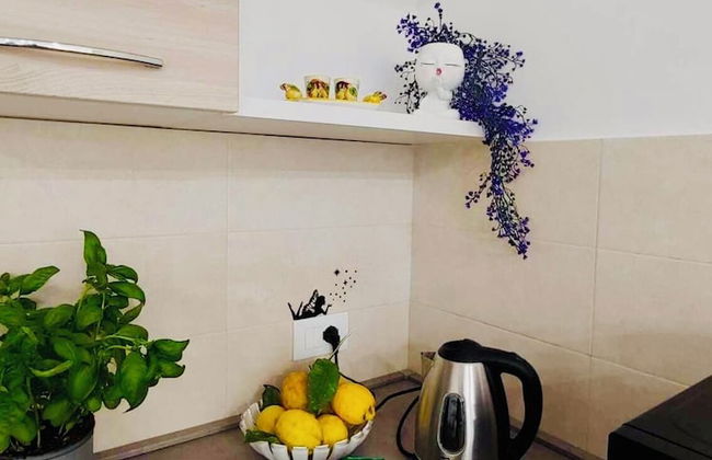 YourHome - Alisea Home - Foto 10