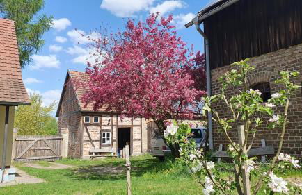 Forsthaus Großmenow - Foto 19