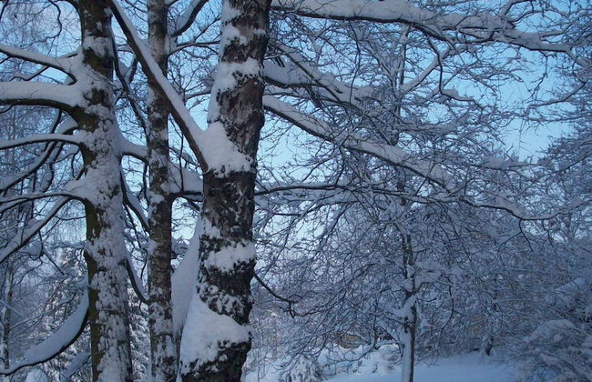 Cozy Chalet in Francorchamps - Photo 25