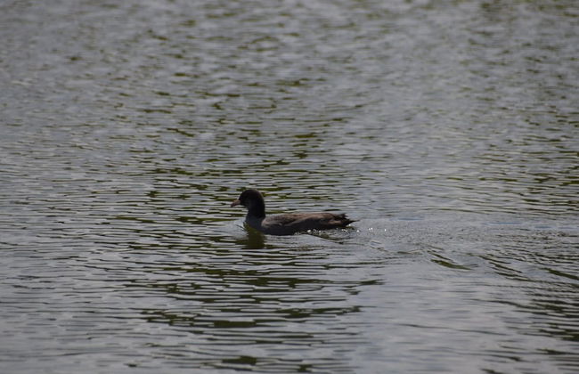 Veldenberg Nature Resort Stay - Foto 21