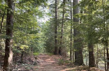 THE RIVER HOUSE LIMIT 6 home - Foto 21