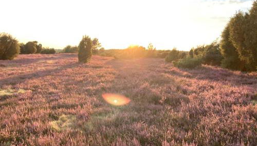 Ferienwohnung Köhler - Foto 5