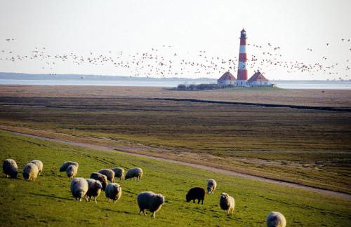 Altstadtflair Apartment - Foto 15