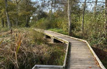 Mare aux nénuphars - Foto 46