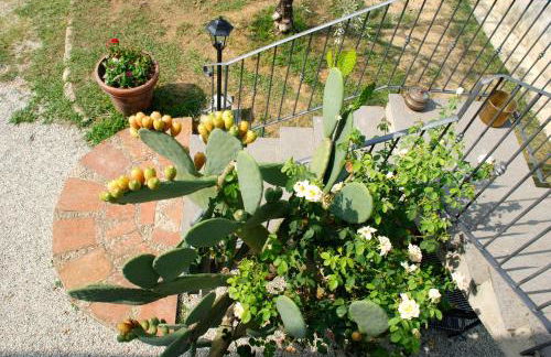 Le Cerbaie - Casa Vacanze - Foto 23