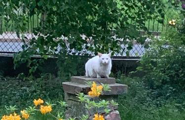 Villa Maria Rosaria - Foto 25