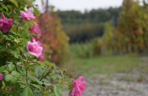 Le Magnolie - Foto 35