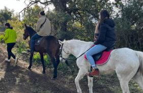 Villa Casina dell'Etna - Foto 54