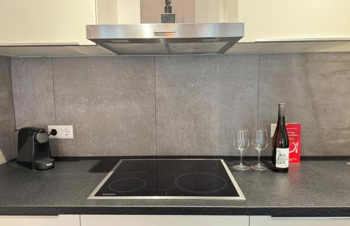 Exklusives 3 Zi Design Apartment in FR-Altstadt - Foto 11