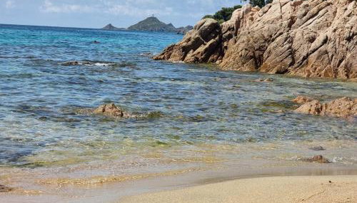 Beau Studio vue sur mer, route des sanguinaires - Foto 3