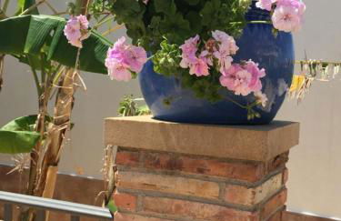 Apartamentos Turísticos Los LLanos - Foto 22