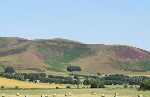 Blueacres - Photo 14