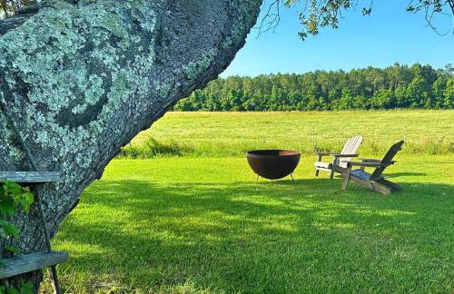 Tranquil Modern Farm Cabin - Foto 24