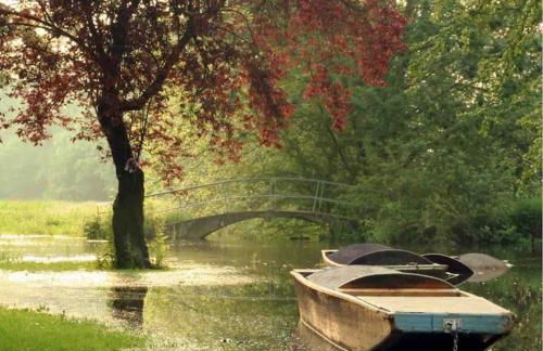 Oxfordshire Country Cottage - Foto 75