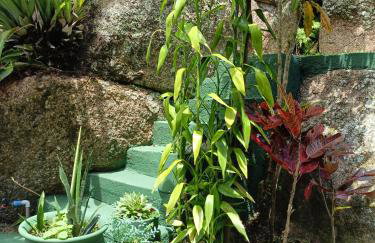 Casa Inteira em Jurerê In e vista panorâmica - Foto 35