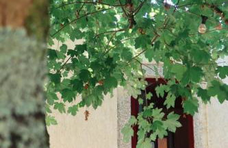 Eido do Luou - Casa de férias com piscina - Foto 16