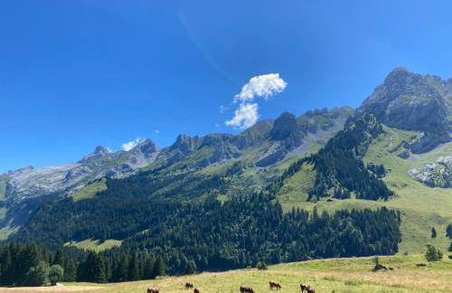 CHALET LYOBA - Photo 38