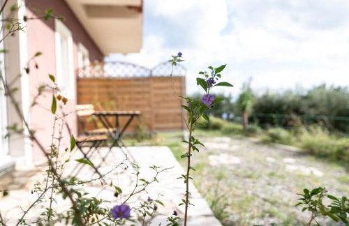 Lorraine's Cottage Style Studios, shared swimming pool and bbq only for guests at Simotata village - Photo 60