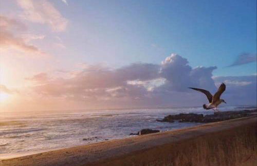 Casa da Fátima, - Foto 8