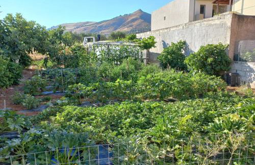 Like Home Luxury House, near Archaeological Museum - Foto 71