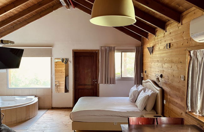 Nofey Habashan - Foto 17