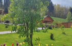 DOMKI KOLOROWE - Foto 52