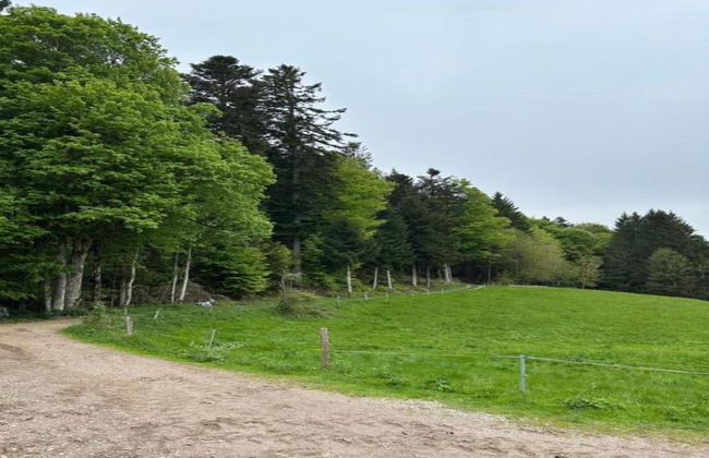 Ferienwohnung im Bernautal - Foto 29