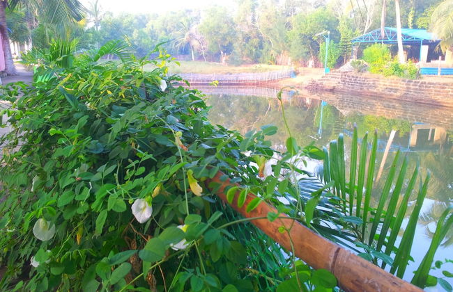 Daaven's Island Resort - Photo 22