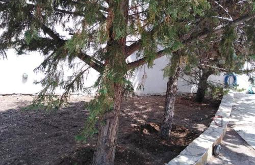 Treasures B&B - Foto 6