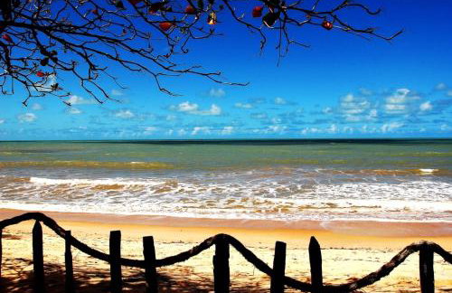 Paraíso da falésia em Cumuruxatiba com vista excepcional - Photo 24