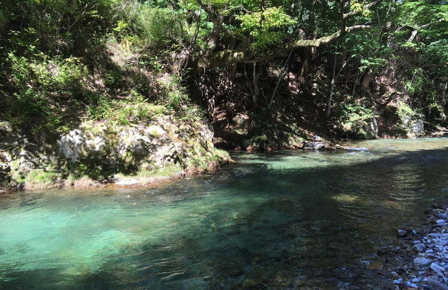 Miyori Furusato Taikenmura - Foto 55