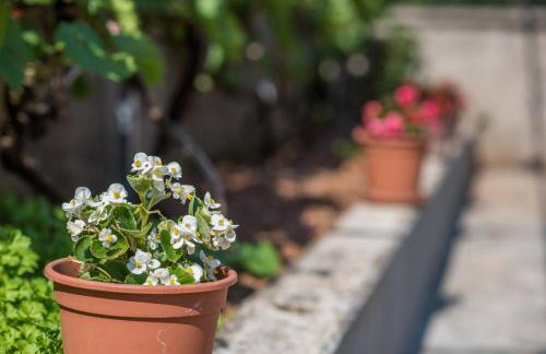 Apartmani Marija Malinska - Foto 24