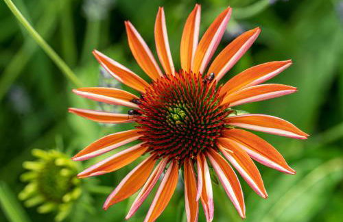 Dimensione Armonica - Elegance and comfort among lakes and hills - Foto 36