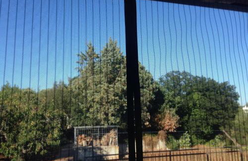 La casa di Colino e Annina - Foto 18