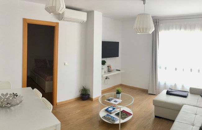 Malaga Palo - Photo 17