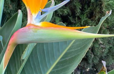 Lemodernlounge, hébergement cosy moderne spacieux - Foto 14