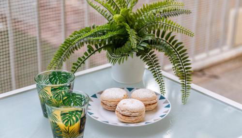 Residence Olivastro Piano Terra - Foto 3