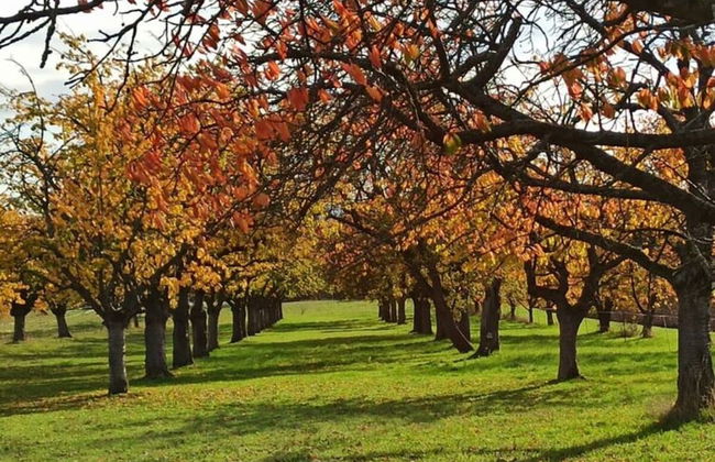 Lovely Apartment in Hesse - Foto 4