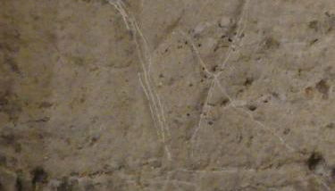 El torreón - Foto 5, Other