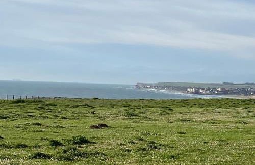 Brise de mer sur la naturelle, Studio à Wimereux , parking - Foto 54