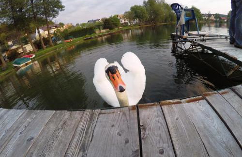 Kaszubskie Zacisze Zawory - Foto 71