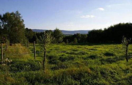 Holiday Home Blockhaus in Gajówka mit Kaminofen by Interhome - Foto 22