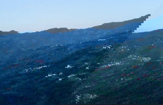 Relax Dağ Evleri - Foto 55