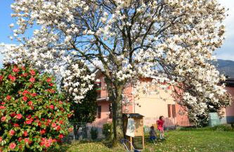 La Gallina - Foto 28