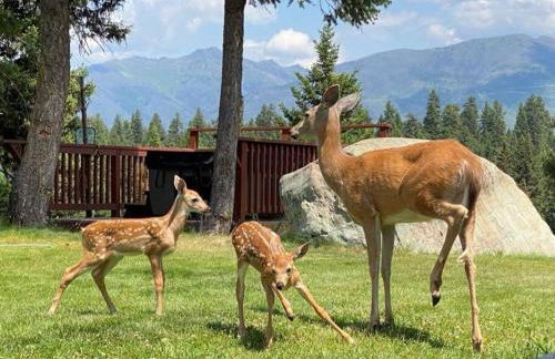 Hot Tub-Awesome View-Secluded Apartment - Foto 11