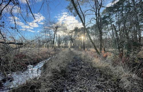 Domaine forestier Darricau au bord du lac, 12 min de l'océan - Foto 60