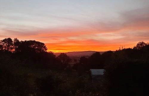 The Hen Den - Foto 10